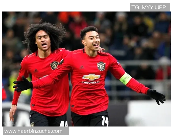 多伦多与华盛顿激战正酣比分悬念不断引发球迷热议