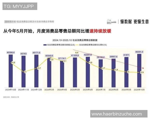江苏苏宁易购对决各大电商平台的市场策略与竞争分析