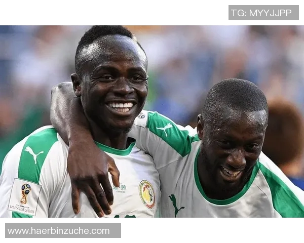 南格鲁吉亚与特洛伊的激烈对决展现足球魅力与团队精神