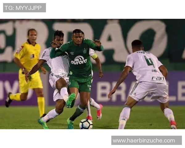 杭州足球队状态火热领跑最新足球状态TOP10榜单分析